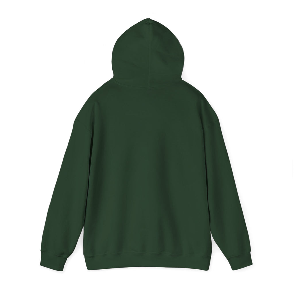 Jesus Was A Carpenter But God Was The Electrician Hoodie — Front Print