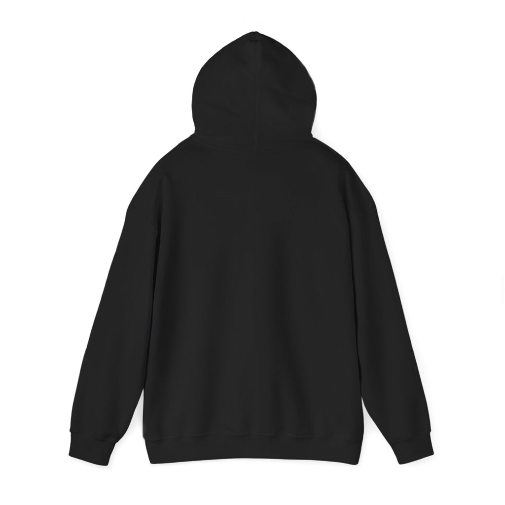 Jesus Was A Carpenter But God Was The Electrician Hoodie — Front Print
