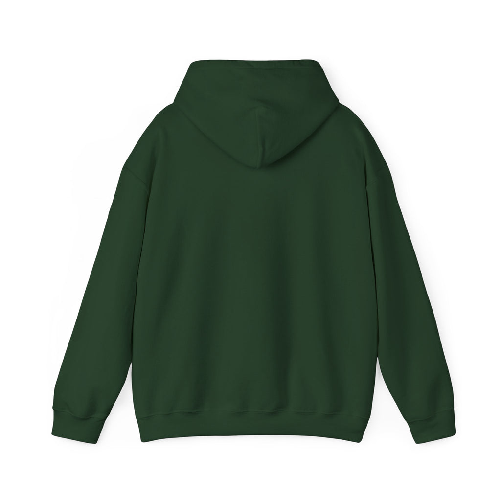 Jesus Was A Carpenter But God Was The Electrician Hoodie — Front Print
