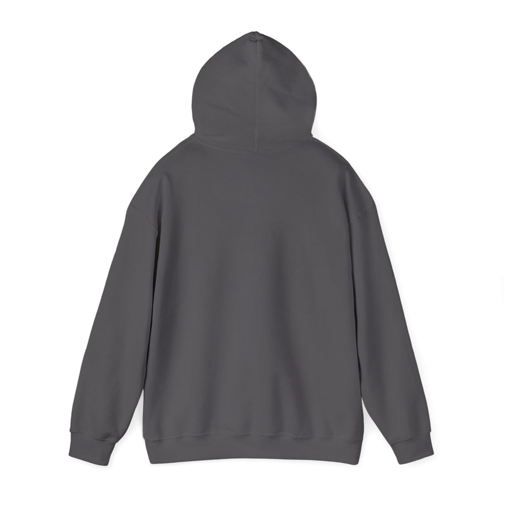 Jesus Was A Carpenter But God Was The Electrician Hoodie — Front Print